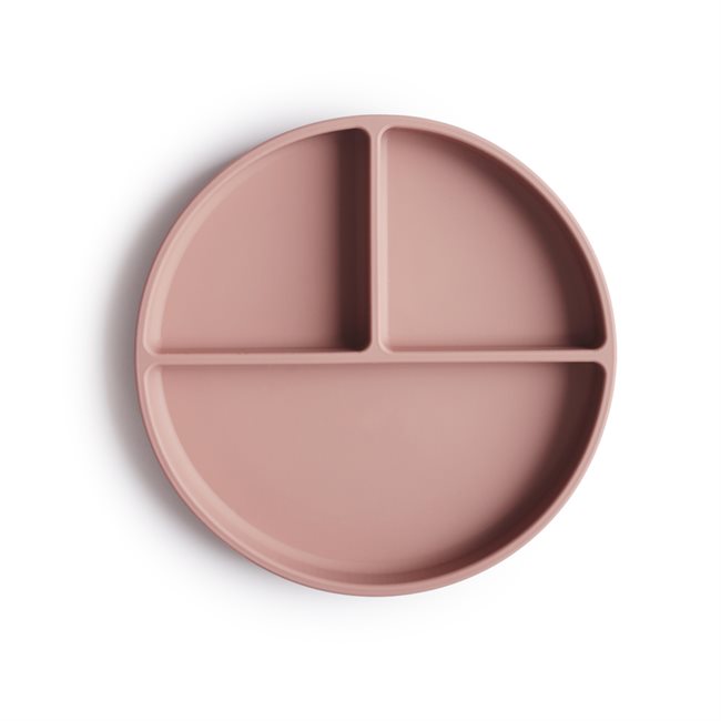 3 Silicone plate cloudy BLUSH2