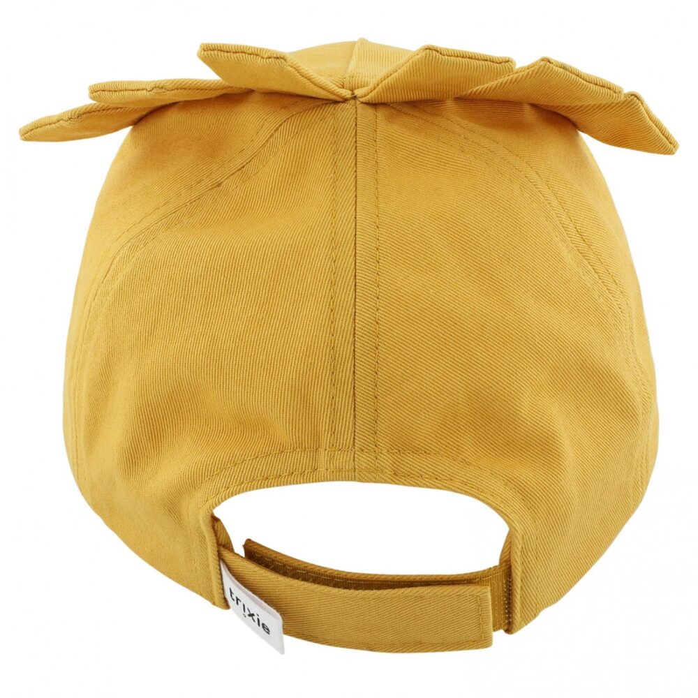 cap 3 4 yr mr lion 2