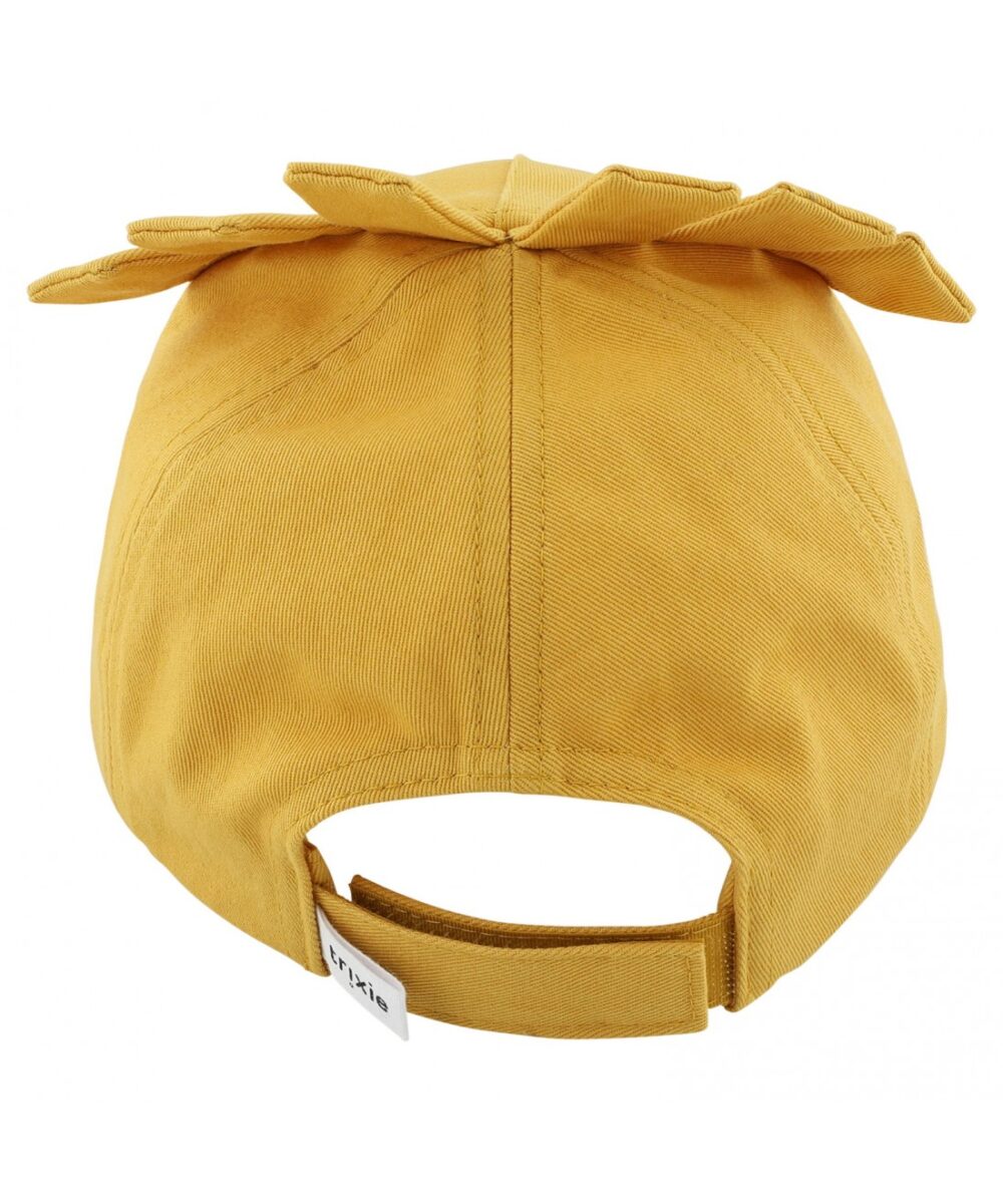 cap 3 4 yr mr lion 2