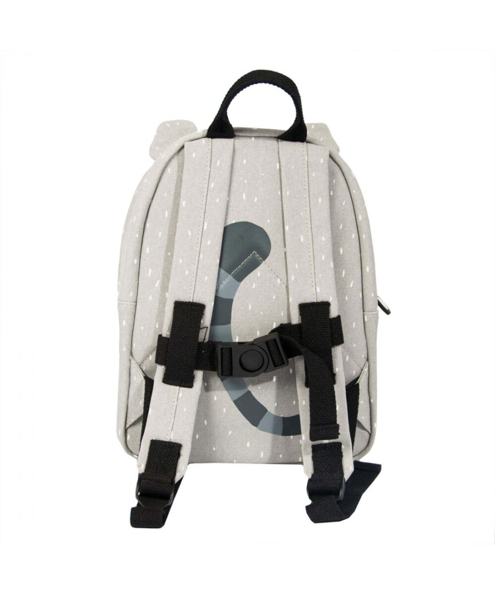 mr raccoon backpack 2