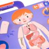 μαγνητικο παζλ ανατομια toy σωματοσ (7)